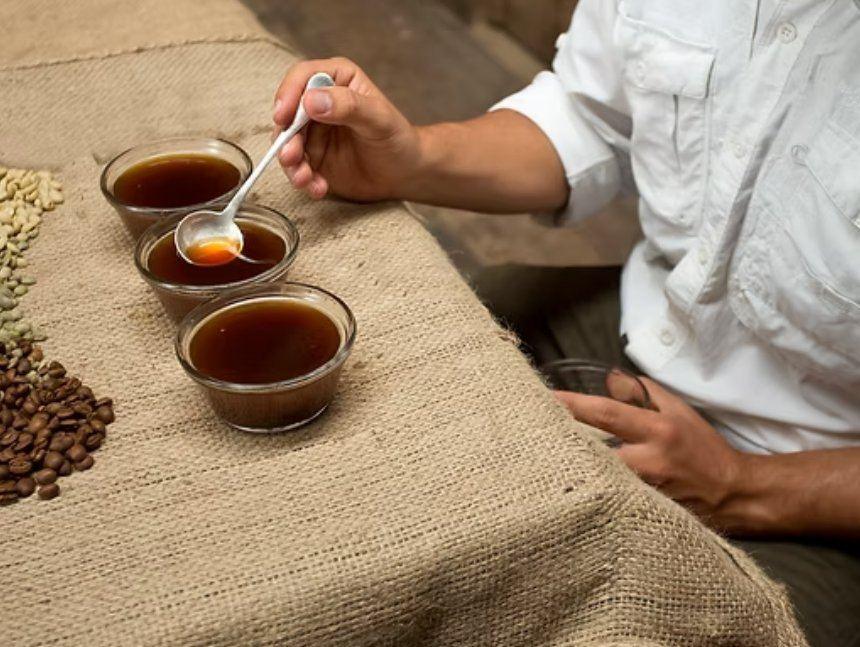 Catación de café en tazas de vidrio